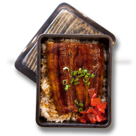 unagi-donburi